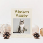 Whiskers &amp; Wonder Cat Photo Cream Christmas Holiday Card
