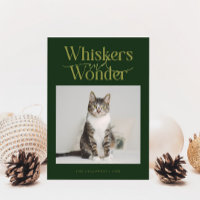 Whiskers & Wonder Cat Photo Green Christmas