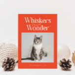 Whiskers &amp; Wonder Cat Photo Retro Red Christmas Holiday Card
