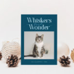 Whiskers &amp; Wonder Cat Photo Teal Christmas Holiday Card