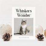 Whiskers &amp; Wonder Cat Photo White Christmas Holiday Card