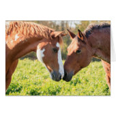 Whisper (Front Horizontal)