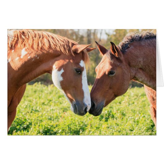 Whisper (Front Horizontal)