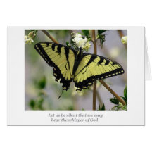 Whisper butterfly