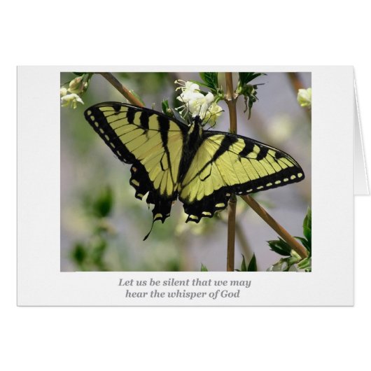 Whisper butterfly cards (Front Horizontal)