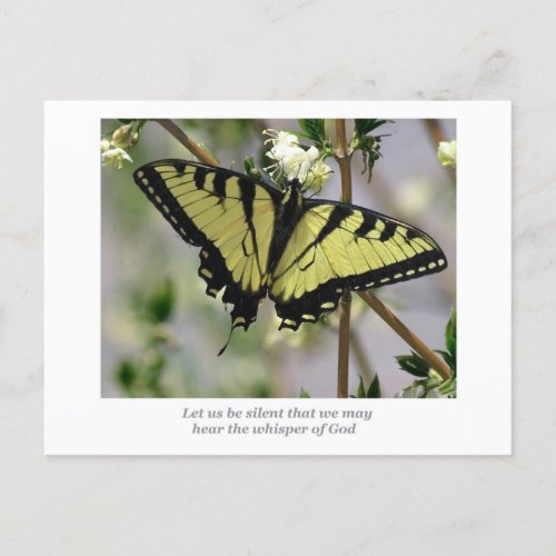 Whisper Butterfly Postcard