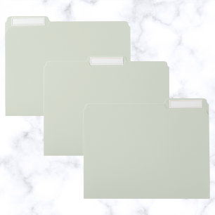 Whisper Green Solid Color File Folder