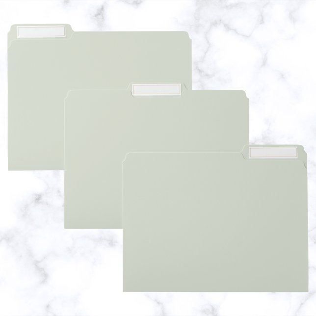 Whisper Green Solid Color File Folder (Creator Uploaded)