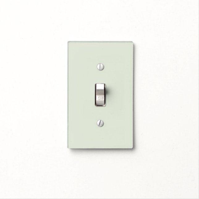 Whisper Green Solid Color Light Switch Cover (In Situ)