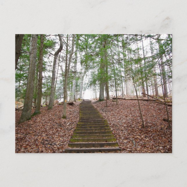 Whispering Cave, Hocking Hills State Park, Ohio Postcard (Front)