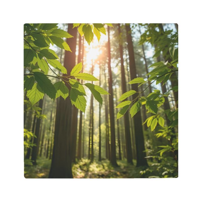 Whispering Forest Metal Print (Front)