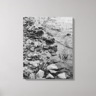 Whispers Along the Shore Canvas Print
