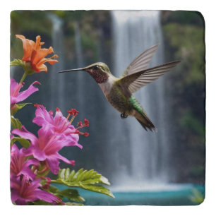 "Whispers of Nature: Hummingbird, Waterfall Trivet
