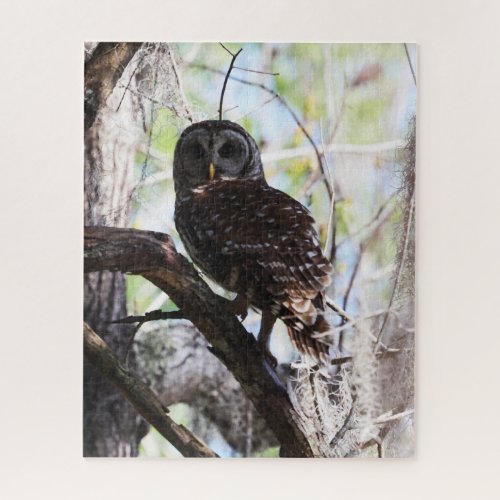 Whispers of the Forest Mystical Barred Owl Puzzle