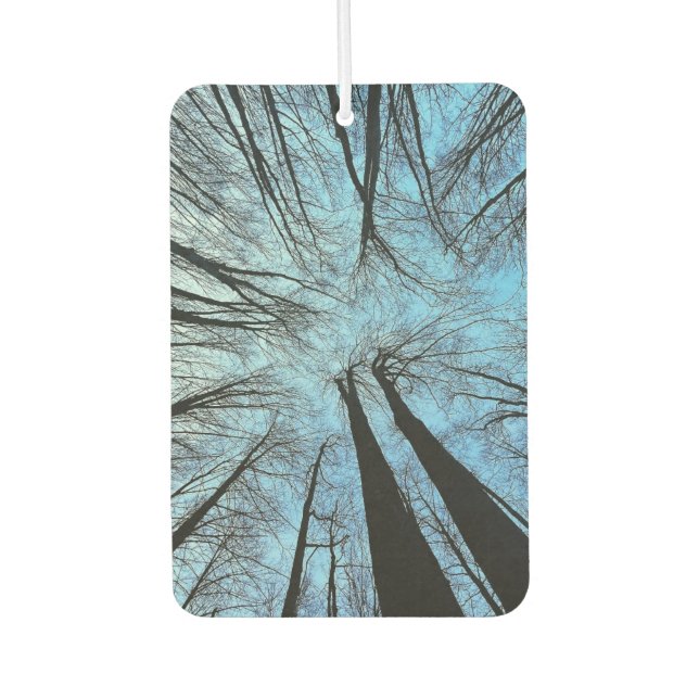 Whispers of the Whisper Forest Air Freshener (Front)