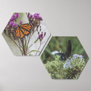 Whispers of Wings on a Summer Breeze Photo Tile