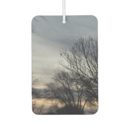 Whispers of Winter  Air Freshener
