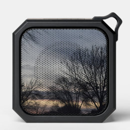 Whispers of Winter Bluetooth Speaker