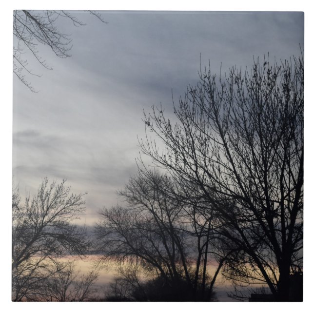 Whispers of Winter  Ceramic Tile (Front)