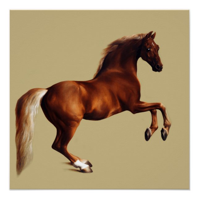 Whistlejacket horse by George Stubbs Poster (Front)