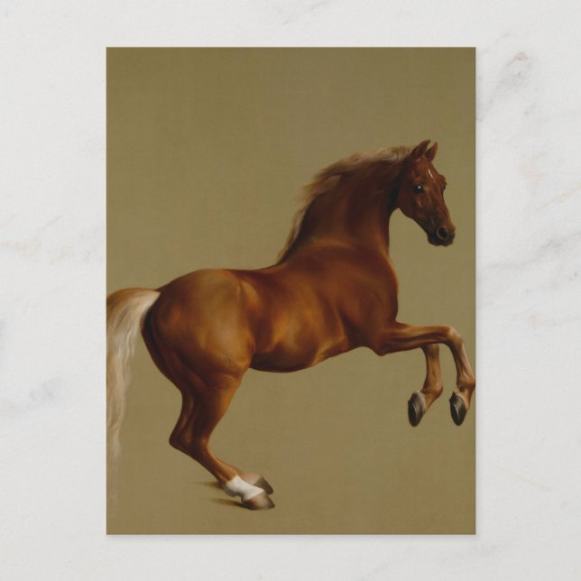 Whistlejacket Race Horse by George Stubbs Postcard (Front)