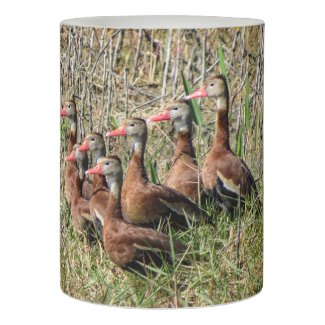Whistling Ducks Flameless Candle