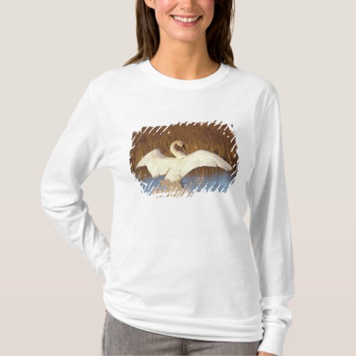 Whistling swan or tundra swan stretching its T_Shirt