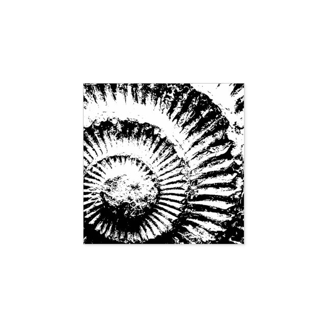 Whitby ammonite rubber stamp (Imprint)
