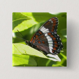 White Admiral Butterfly Pinback Button