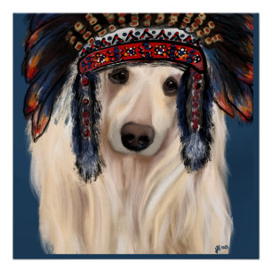 White Afghan Hound Poster