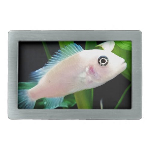 White African Cichlid Fish Belt Buckle