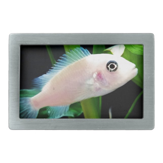 White African Cichlid Fish Belt Buckle (Front)