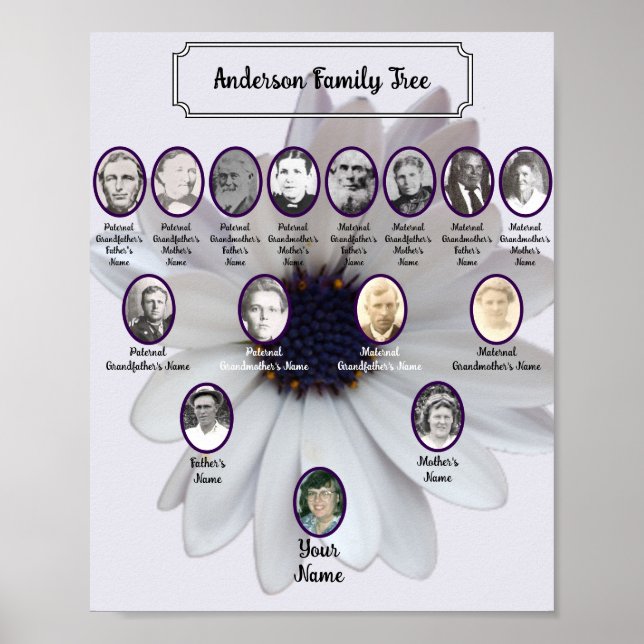 White African Daisy Oval Ancestor Photos Poster (Front)