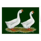 White African Geese (Front Horizontal)