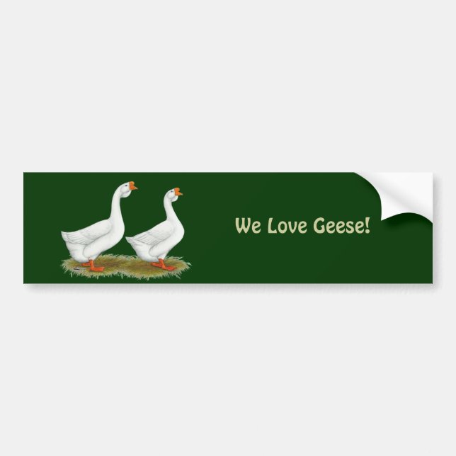 White African Geese Bumper Sticker (Front)