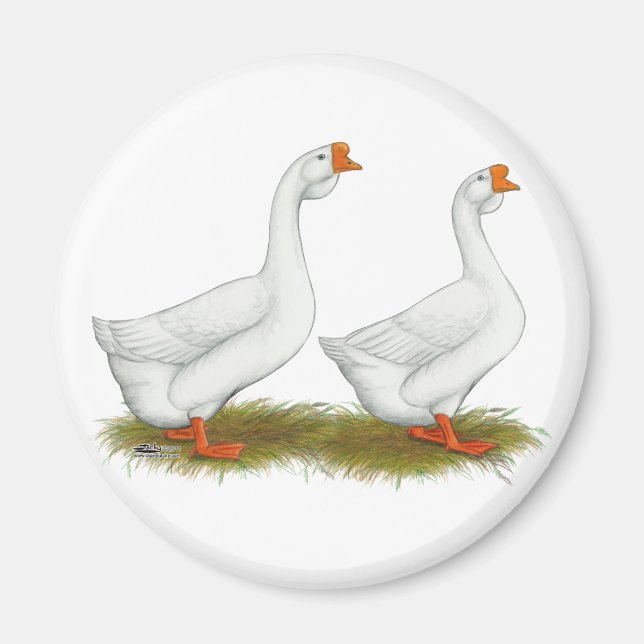 White African Geese Magnet (Front)