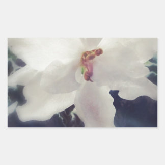 White African Violet Flower Rectangular Sticker