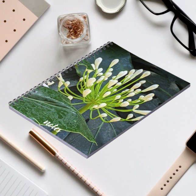 White Agapanthus Buds Floral Notebook (In Situ)