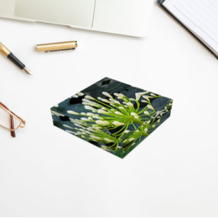 White Agapanthus Flower Buds Floral Paperweight
