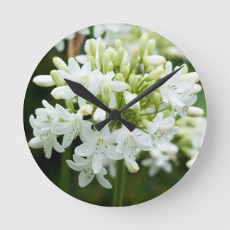 White Agapanthus Flower Round Clock