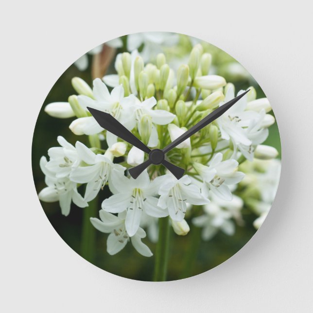 White Agapanthus Flower Round Clock (Front)
