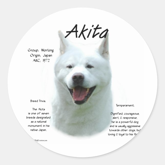 White Akita History  Classic Round Sticker (Front)