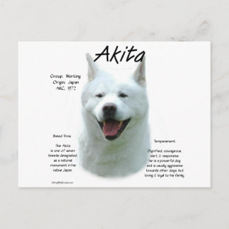 White Akita History Postcard