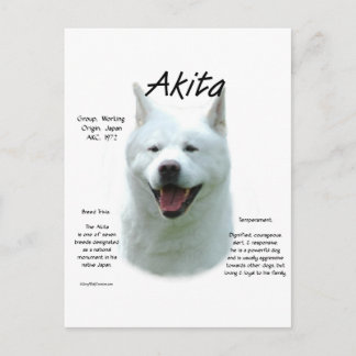 White Akita History Postcard