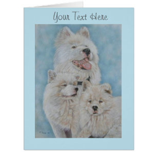 white akita long coat dog portrait original art cards