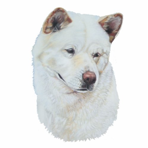 White akita realist dog portrait art cutout