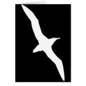 White Albatross Bird In Flight (Front)