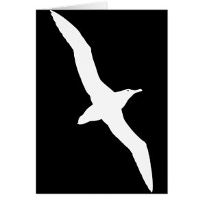 White Albatross Bird In Flight Cards