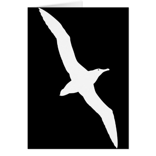 White Albatross Bird In Flight Cards (Front)