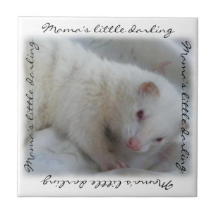 White Albino Ferret Picture Ceramic Tile